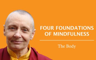 Mindfulness of the Body