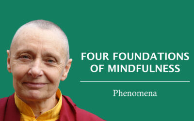 Mindfulness of Phenomena