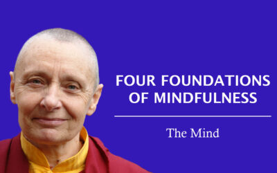 Mindfulness of the Mind