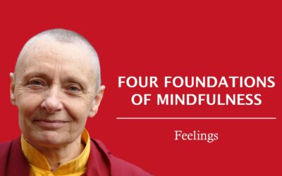 Mindfulness of Feelings